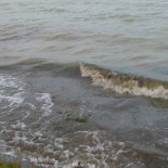 El Mar Menor ha pasado de ser paraíso natural a una charca de agua podrida