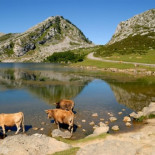 Lagunas de Ruidera, situación crítica