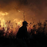 Hablan los brigadistas antiincendios gallegos: "Ni una botella de agua ni un bocadillo; el caos es total"
