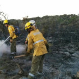 Una bengala lanzada desde un barco provoca un incendio que arrasa la isla de s'Espalmador, en Formentera