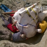 Hallan en EEUU un enorme cráneo de un Tiranosaurio rex de 1,20 metros (ENG)