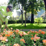 Detenidos por explotar a jardineros 12 horas al día a cambio de 600 euros