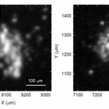 La sonda Rosetta recoge particulas orgánicas (ENG)