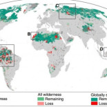 El declive de las zonas salvajes del planeta es catastrófico