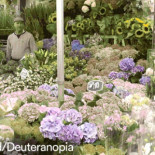 GIFs animados que muestran lo que es ser daltónico