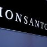 Bayer acuerda adquirir Monsanto en oferta de 128 dólares por acción