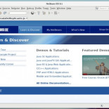 Oracle cede NetBeans a la Fundación Apache