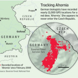 El bosque donde el Telón de Acero sigue en pie