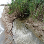 Fotografías y vídeos de ecologistas desmienten el ‘vertido cero’ al Mar Menor del que presume el Gobierno