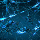 El primer mapa en 3D de la red neuronal del cerebro revela estructuras nunca vistas