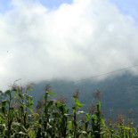 Tres grandes empresas están a punto de controlar la mayoría de los suministros agrícolas del mundo