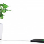 Los paneles de Bioo que imitan a las plantas, premiados en #SouthSummit16