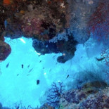 La tumba de Sinaí, el punto de buceo más mortífero del mundo