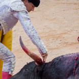 Los sospechosos datos oficiales de la tauromaquia II: análisis del año 2015