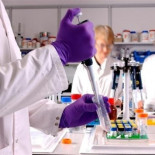 Hallan el estricto calendario por el que bacterias 'muertas' vuelven a la vida