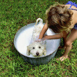 Déjales que sean autónomos: la tabla inspirada en Montessori para saber qué tareas pueden hacer en cada edad