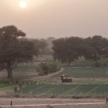 La Gran Muralla Verde de África para detener el Sahara