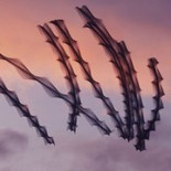 Fotos que ofrecen una nueva visión de los pájaros [ENG]