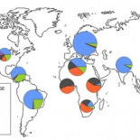 El sexo con neandertales nos trajo un papiloma y un cáncer