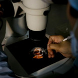 Estar soltero es ahora "una discapacidad", según la Organización Mundial de la Salud