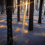 Durante 40 años el hombre ha intentado buscar una explicación a esta fascinante señal de radio: The Buzzer
