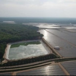 Los drones revelan cómo la agricultura ilegal seca Doñana