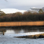 ¿Quién era Peter Bergmann? El hombre que borró sus huellas hasta desaparecer