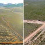 Destrozan una de las mayores minas de oro romanas de León
