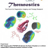 Identificada la proteína que provoca la inflamación tras un ictus