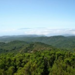 Restauración fluvial para mitigar los efectos de las inundaciones