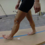 Por qué caminamos sobre nuestros talones en lugar de sobre nuestros dedos (ING)