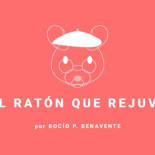 Científicos españoles logran revertir el envejecimiento en ratones y alargar su vida