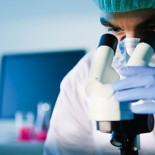 Descubierto un potenciador cognitivo para el tratamiento de la esquizofrenia