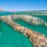 Cómo los fines de semana de tres días pueden ayudar a salvar el mundo