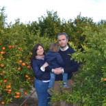 “Naranjeando gratis total”: una historia de la ruina del campo en Castellón