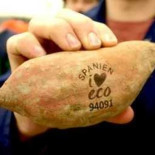 Suecia: supermercados reemplazan las etiquetas por marcas de láser (con tecnología española)