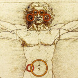 Los seis rincones más raros de su cuerpo: sepa para qué sirven