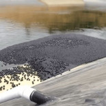 Cubrir los embalses de California con millones de bolas de plástico resultó ser todo un éxito