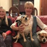 Cazadores matan a 5 perros y mutilan a un caballo de la propietaria que les negó dejarles cazar en su finca [ENG]