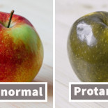 Cómo ven el mundo las personas que sufren distintos tipos de daltonismo