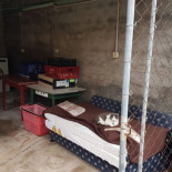 Detenido empresario que tenía a sus trabajadores en jaulas (CAT)