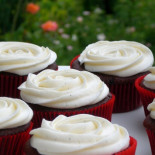 Demuestran que las nanopartículas de dióxido de titanio se extienden por todo el organismo