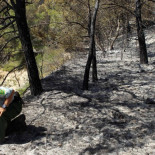 Desarmados en el Salvaje Oeste del campo español: así se sienten los guardas forestales