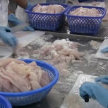 Carrefour retira la panga de sus estanterías por contaminación