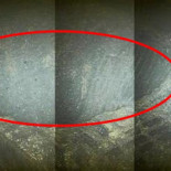 TEPCO admite que los niveles de radiación de Fukushima alcanzan niveles récord [ENG]