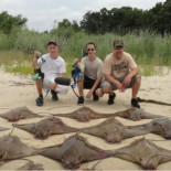 Familias enteras de rayas están siendo asesinadas por un "concurso"