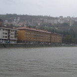 Un cambio vital: la ría de Bilbao recupera sus caballitos de mar