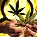 Absuelta una anciana que usaba marihuana para darse "friegas"