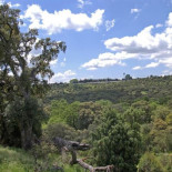 ¿Dónde están los 60.000 millones del rescate bancario?