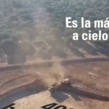 Las encinas arrasadas por una mina de uranio